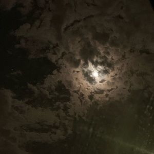 Meet your Posher, Antonio